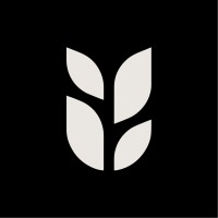Grain