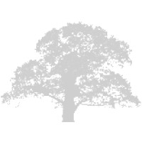 Oaktree Consulting LLC