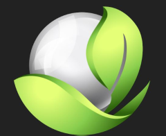 KK BUILDER PTE. LTD.