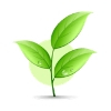 EBOS SG PTE. LTD.