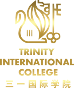 TRINITY INTERNATIONAL COLLEGE PTE. LTD.