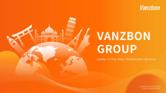VANZBON INTERNATIONAL CONSULTING (SINGAPORE) PTE. LTD.