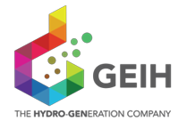 GREEN ENERGY INVESTMENT HOLDING PRIVATE LIMITED