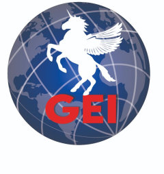 GOODWILL ENGINEERING & INSPECTION PTE. LTD.