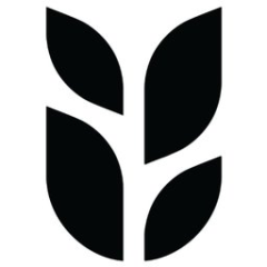 Grain