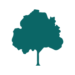 TEMBUSU LAW LLC