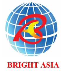 BRIGHT ASIA CONSTRUCTION PTE. LTD.