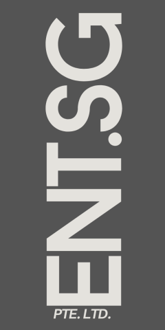 ENT.SG PTE. LTD.