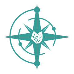 METACOMP PTE. LTD.