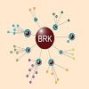 BRK PTE. LTD.