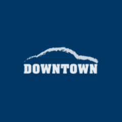 DOWNTOWN TRAVEL SERVICES PTE LTD
