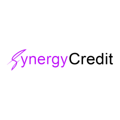 SYNERGY CREDIT PTE. LTD.