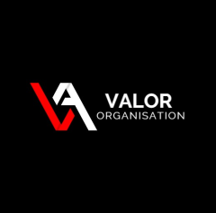 VA ORGANIZATION