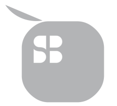 SILICON BOX PTE. LTD.