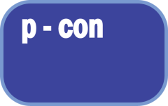 P-CON MANAGEMENT PTE. LTD.