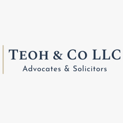 TEOH & CO LLC