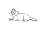 MEGUSTA PTE. LTD.