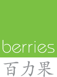 BERRIES WORLD OF LEARNING SCHOOL (KVP) PTE. LTD.