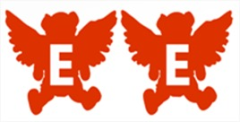 EFFICIENT ELECTRICAL PTE. LTD.
