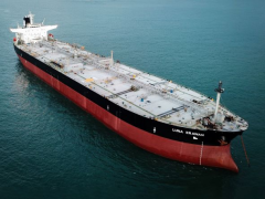 ARCADIA SHIPPING PTE. LTD.