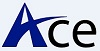 ACE BUSINESS PRIVATE LIMITED