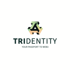 TRIDENT DIGITAL TECH PTE. LTD.