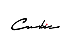 CUBIZ PTE. LTD.