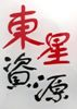 DONGXING RESOURCE (S) PTE. LTD.