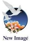 NEW IMAGE INTERNATIONAL SINGAPORE (PRIVATE) LIMITED