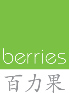 BERRIES WORLD OF LEARNING SCHOOL (NESR) PTE. LTD.