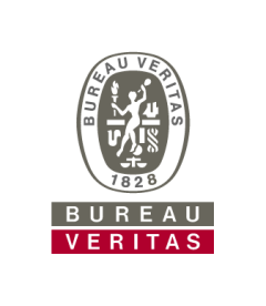 BUREAU VERITAS BUILDINGS & INFRASTRUCTURE PTE. LTD.